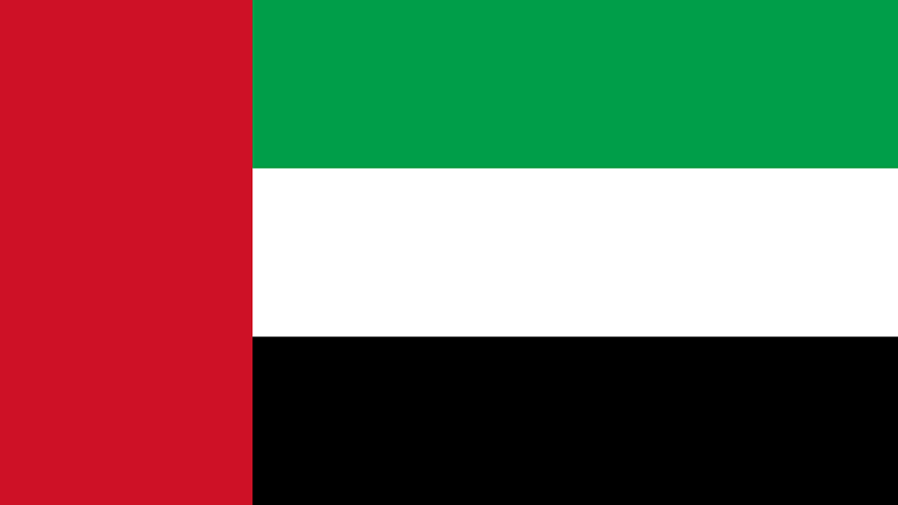 United Arab Emirates flag